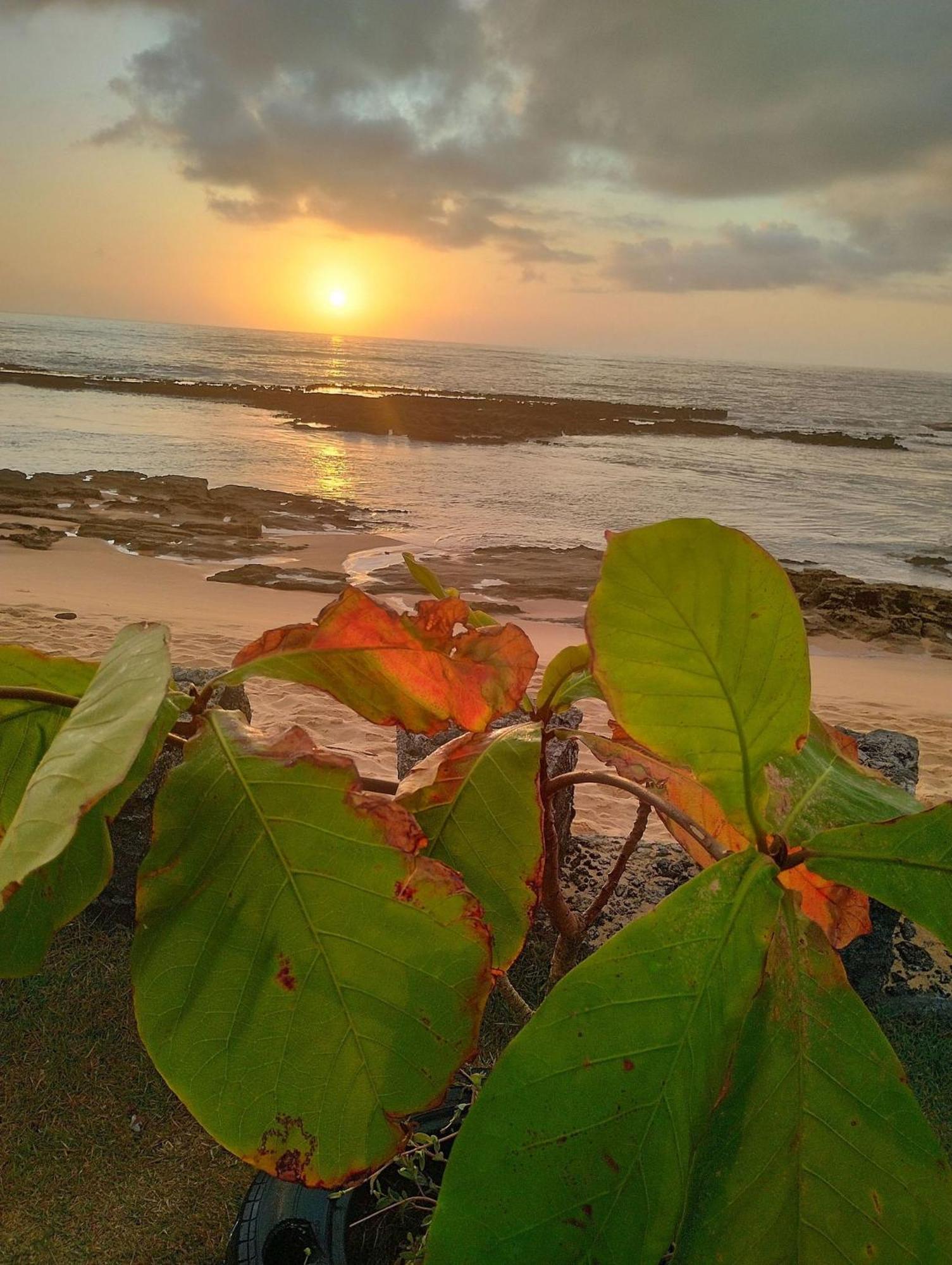 Pousada Tropicalia Tranquilidade A Beira Mar Santa Cruz Cabralia Luaran gambar